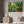 Forest Canvas Print – Semi Glossy Finish - Dipaliz - Posters Prints & Visual Artwork