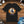 Spooky Skeleton Segway Tee - Hauntingly Cool Halloween - Dipaliz - T-shirts