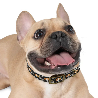 Snazzy Stain-resistant Dog Collar Made in Usa - Pets