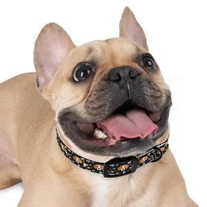 Stain Resistant Dog Collar Usa Made Stylish Pet Fashion - Dipaliz - Collars & Harnesses