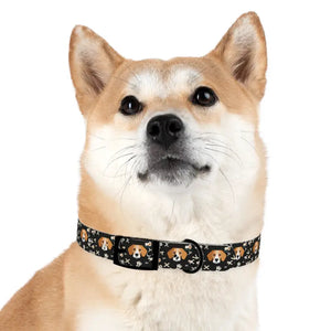 Stain Resistant Dog Collar Usa Made Stylish Pet Fashion - Dipaliz - Collars & Harnesses