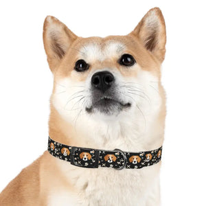 Stain Resistant Dog Collar Usa Made Stylish Pet Fashion - Dipaliz - Collars & Harnesses