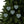 Festive Ceramic Ornaments – Christmas Tree - Dipaliz - Holiday