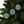 Festive Ceramic Ornaments – Christmas Tree - Dipaliz - Holiday