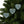 Festive Ceramic Ornaments – Christmas Tree - Dipaliz - Holiday