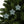 Festive Ceramic Ornaments – Christmas Tree - Dipaliz - Holiday