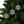 Festive Ceramic Ornaments – Christmas Tree - Dipaliz - Holiday