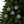 Festive Ceramic Ornaments – Christmas Tree - Dipaliz - Holiday