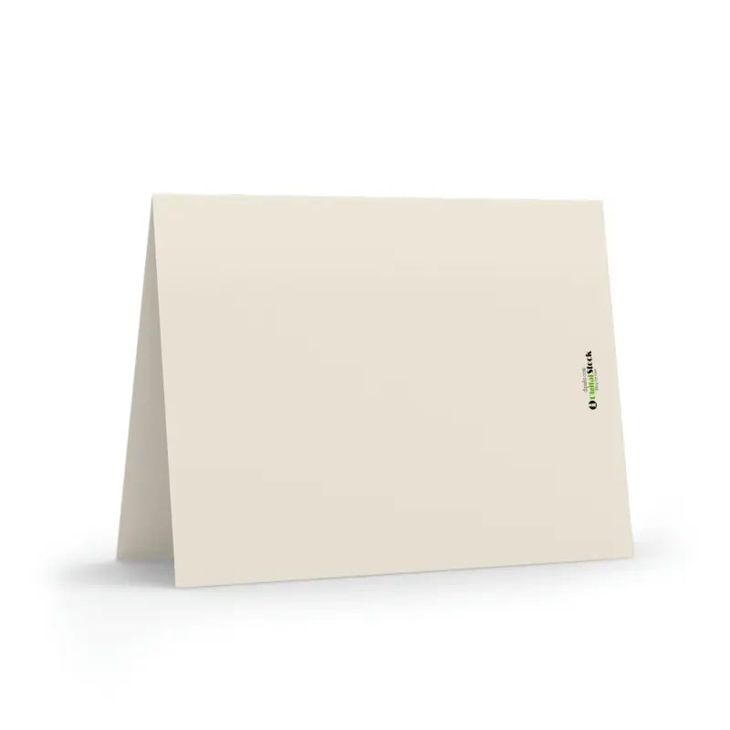 Elegant Sorry Greeting Cards with Matching White Envelopes - Paper Products