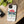 Dragonfly Tough Cases - Extra Durability - Dipaliz - Mobile Phone