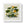 Elegant Squash Plant Framed Vertical Poster - Dipaliz - Posters
