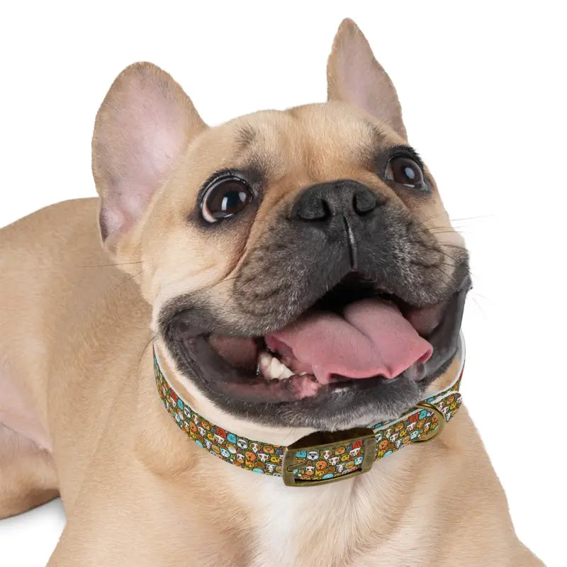 Upgrade your Pup’s Look with Stain-resistant Elegance Dog Collar - Pets