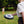 Iconic Wham o Frisbee Star Pattern Plastic - Dipaliz - Sporting Goods