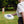 Iconic Wham o Frisbee Star Pattern Plastic - Dipaliz - Sporting Goods