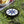 Iconic Wham o Frisbee Star Pattern Plastic - Dipaliz - Sporting Goods