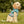 Vibrant Marine Animal Dog Hoodie - Soft Pet Apparel - Dipaliz - Hoodies