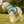 Vibrant Marine Animal Dog Hoodie - Soft Pet Apparel - Dipaliz - Hoodies