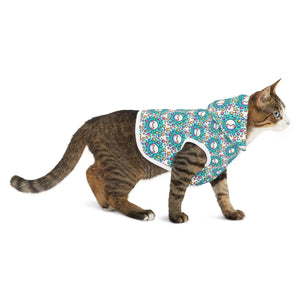 Cosmic Moon Pet Hoodie - Stylish Star Design - Dipaliz - Hoodies