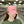 Stay Cozy Classic Dad Cap - Timeless Edge Cotton - Dipaliz - Hats