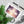 Bold Cotton Canvas Cosmetic - On-the-go Glam - Dipaliz - & Toiletry Bags