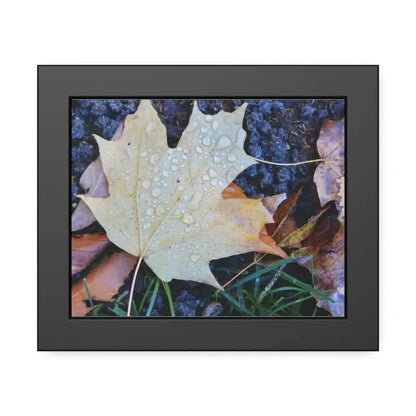 Drip-dazzling Maple Leaf Framed Posters: Nature’s Water Drop Magic - 10″ x 8″ (horizontal) / Black Frame / Semi