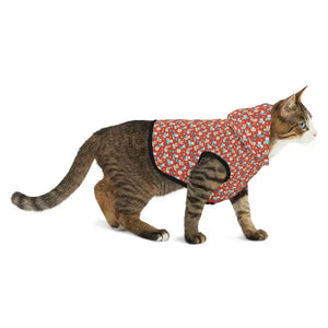 Cat Print Hoodie - Vibrant Pattern Pet Apparel - Dipaliz - Hoodies