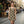Leopard Print Racerback – Summer Party Outfit - Dipaliz - Dresses - Xs