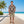 Tropical Hawaiian Camp Shirt - Breathable Summer Essential - Dipaliz - Shirts - Xs