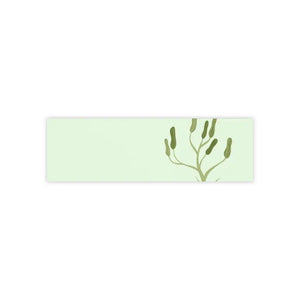 Green Post it Notes - Vibrant Sticky - Dipaliz