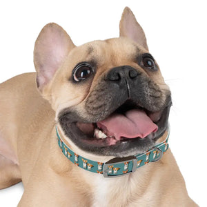 Teal Dream Dog Collar Stain Resistant Stylish Pet Gear - Dipaliz - Collars & Harnesses