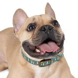 Teal Dream Dog Collar Stain Resistant Stylish Pet Gear - Dipaliz - Collars & Harnesses