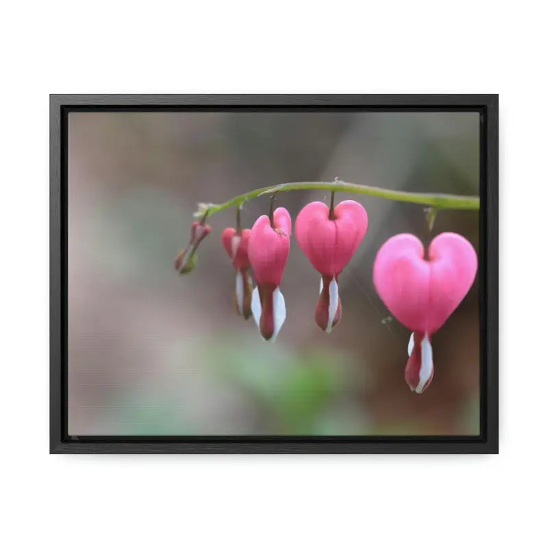 Brighten your Space with Bleeding Hearts Gallery Canvas Wraps! - 14″ x 11″ / Black / Premium Wraps (1.25″)