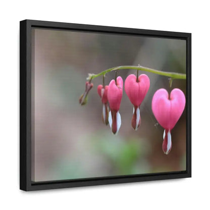 Brighten your Space with Bleeding Hearts Gallery Canvas Wraps!