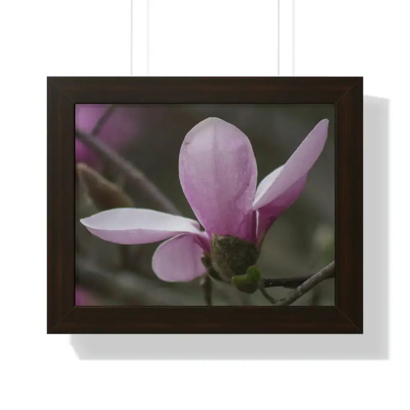 Pink Magnolia Framed Horizontal Poster: Elegance in Every Size! - 14″ x 11″ / Walnut Poster