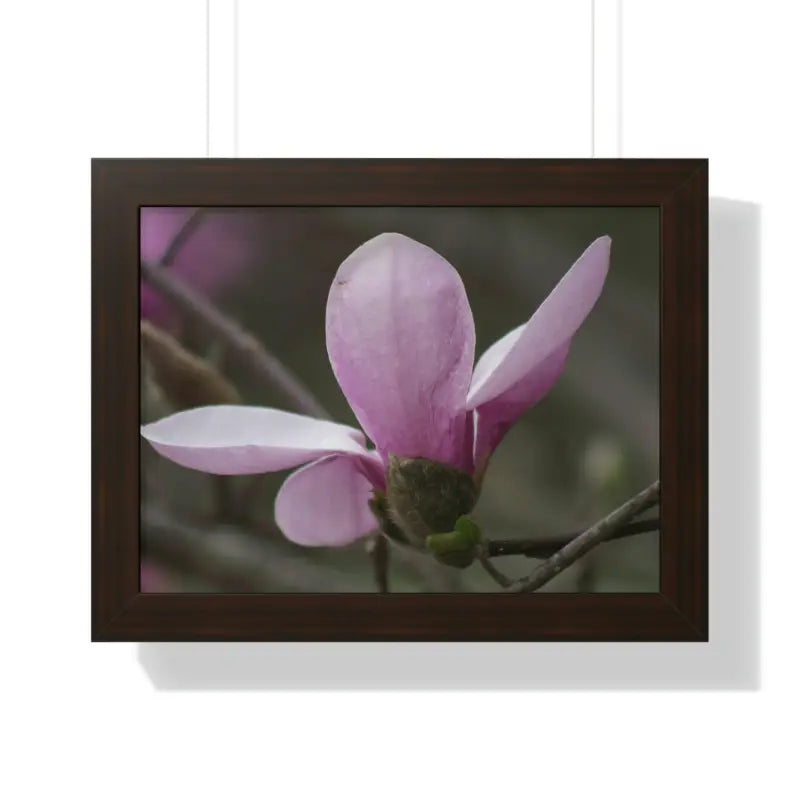 Pink Magnolia Framed Horizontal Poster: Elegance in Every Size! - 16″ x 12″ / Walnut Poster