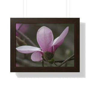 Framed Horizontal Poster Pink Magnolia Wall Art - Dipaliz - 16″ x 12″ / Walnut - Posters Prints & Visual Artwork