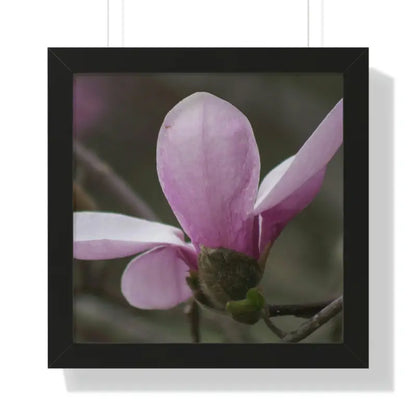 Pink Magnolia Framed Horizontal Poster: Elegance in Every Size! - 16″ x / Black Poster