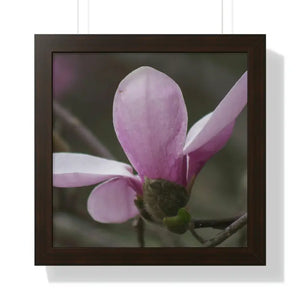 Framed Horizontal Poster Pink Magnolia Wall Art - Dipaliz - 16″ x / Walnut - Posters Prints & Visual Artwork