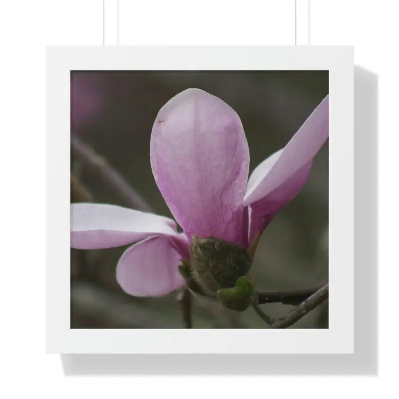 Pink Magnolia Framed Horizontal Poster: Elegance in Every Size! - 16″ x / White Poster