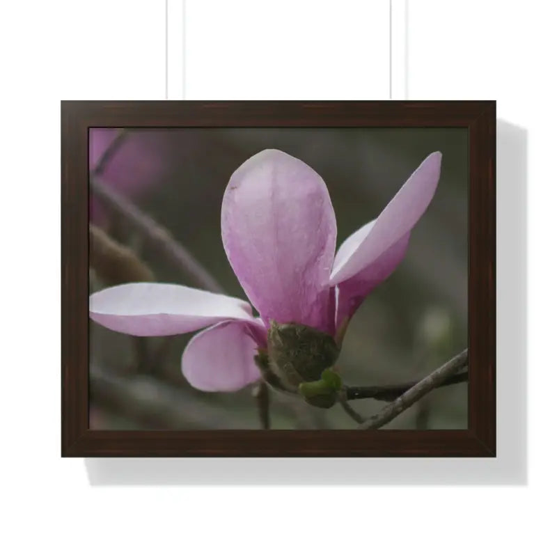 Pink Magnolia Framed Horizontal Poster: Elegance in Every Size! - 20’’ x 16’’ / Walnut Poster