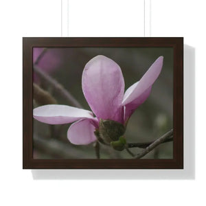 Framed Horizontal Poster Pink Magnolia Wall Art - Dipaliz - 20’’ x 16’’ / Walnut - Posters Prints & Visual Artwork