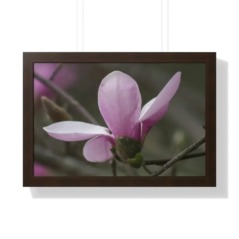 Pink Magnolia Framed Horizontal Poster: Elegance in Every Size! - 24″ x 16″ / Walnut Poster