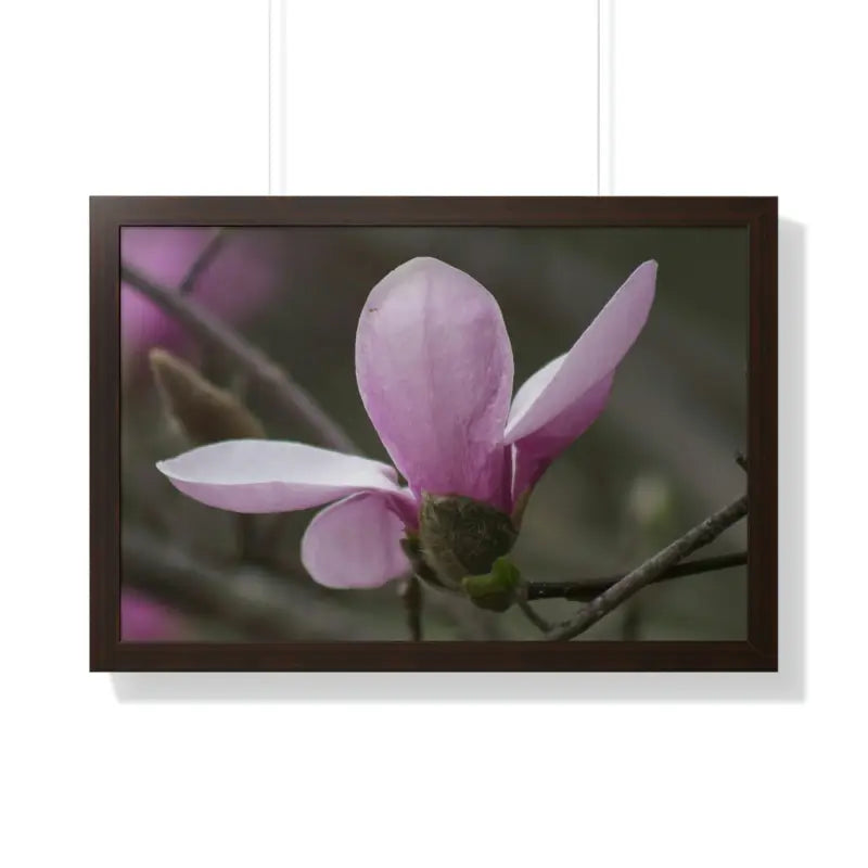 Pink Magnolia Framed Horizontal Poster: Elegance in Every Size! - 30’’ x 20’’ / Walnut Poster