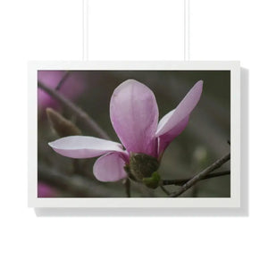 Framed Horizontal Poster Pink Magnolia Wall Art - Dipaliz - 30’’ x 20’’ / White - Posters Prints & Visual Artwork