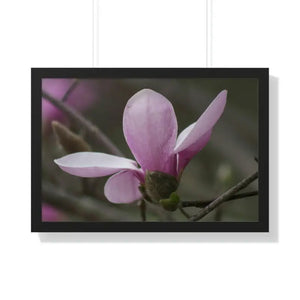 Framed Horizontal Poster Pink Magnolia Wall Art - Dipaliz - 30’’ x 20’’ / Black - Posters Prints & Visual Artwork