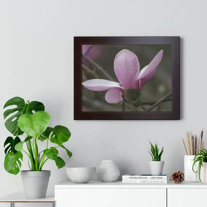 Pink Magnolia Framed Horizontal Poster: Elegance in Every Size! - Poster