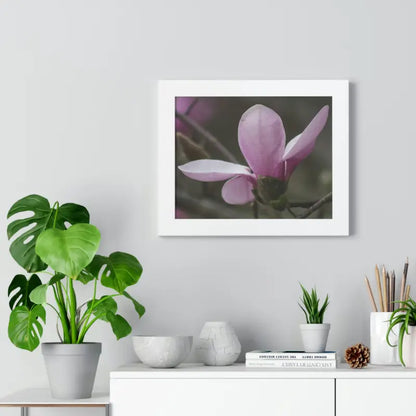 Pink Magnolia Framed Horizontal Poster: Elegance in Every Size! - Poster