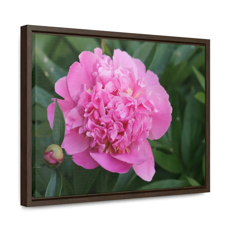 Transform your Space with Pink Peony Gallery Canvas Wraps