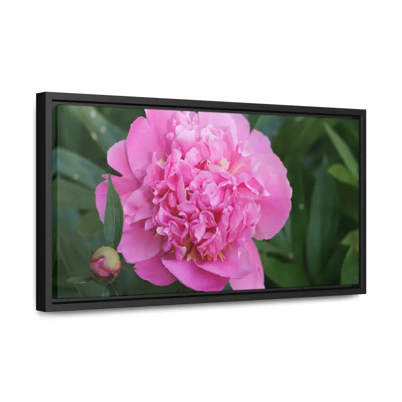 Transform your Space with Pink Peony Gallery Canvas Wraps