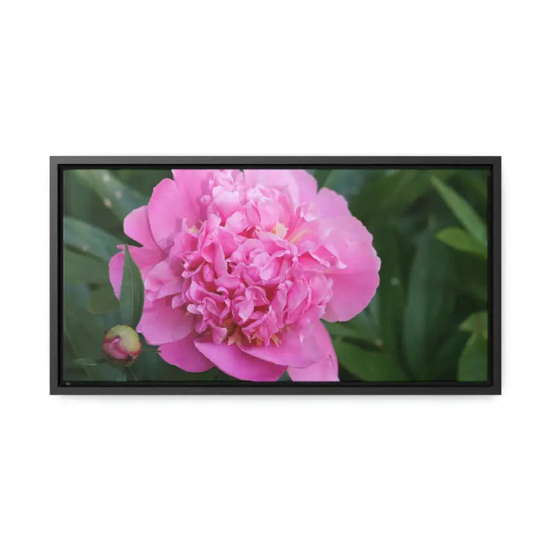 Transform your Space with Pink Peony Gallery Canvas Wraps - 20″ x 10″ / Black / Premium (1.25″)